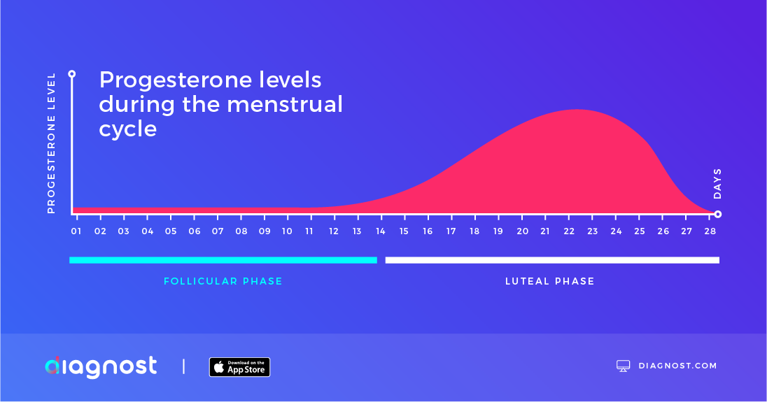 progesterone levels during the menstrual cycle - How To Boost Low Progesterone Naturally - Diagnost